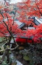 3vs足球比分-3vs足球比分，足球赛场数据背后的激情与智慧
