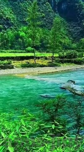 北美足球即时比分-北美足球即时比分，实时追踪绿茵激情，感受北美足球脉搏