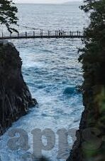 今日足球直播比分-今夜烽火连天，深度解析今日足球直播比分背后的战术博弈与球星闪耀
