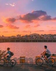 足球比分竞彩比分网-足球比分竞彩比分网，球迷的智慧之选与竞猜乐园