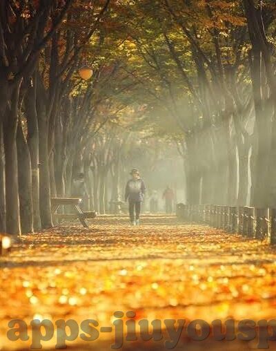 足球大球家及时比分-足球大球家及时比分，绿茵场上的数字脉搏与激情共振