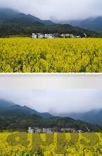足球探网比分-足球探网比分，球迷的实时信息港湾与赛事分析利器