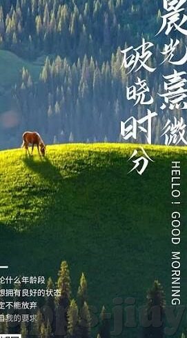 足球现场报比分-足球现场报比分，激情与悬念的交响曲